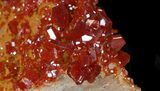 Red Vanadinite Crystal Cluster - Morocco #38525-2